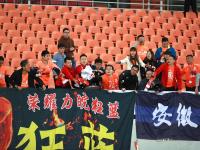 IM竞技体育平台-队员伤停成焦点，球队备战情况备受关注的简单介绍