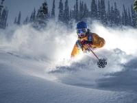 IM电竞下载-赛道上的颠覆，索伯车队轻取红牛二队，汉密尔顿点燃赛场