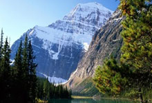 IM英雄联盟竞猜-非洲选手实力雄厚，获得多项领先