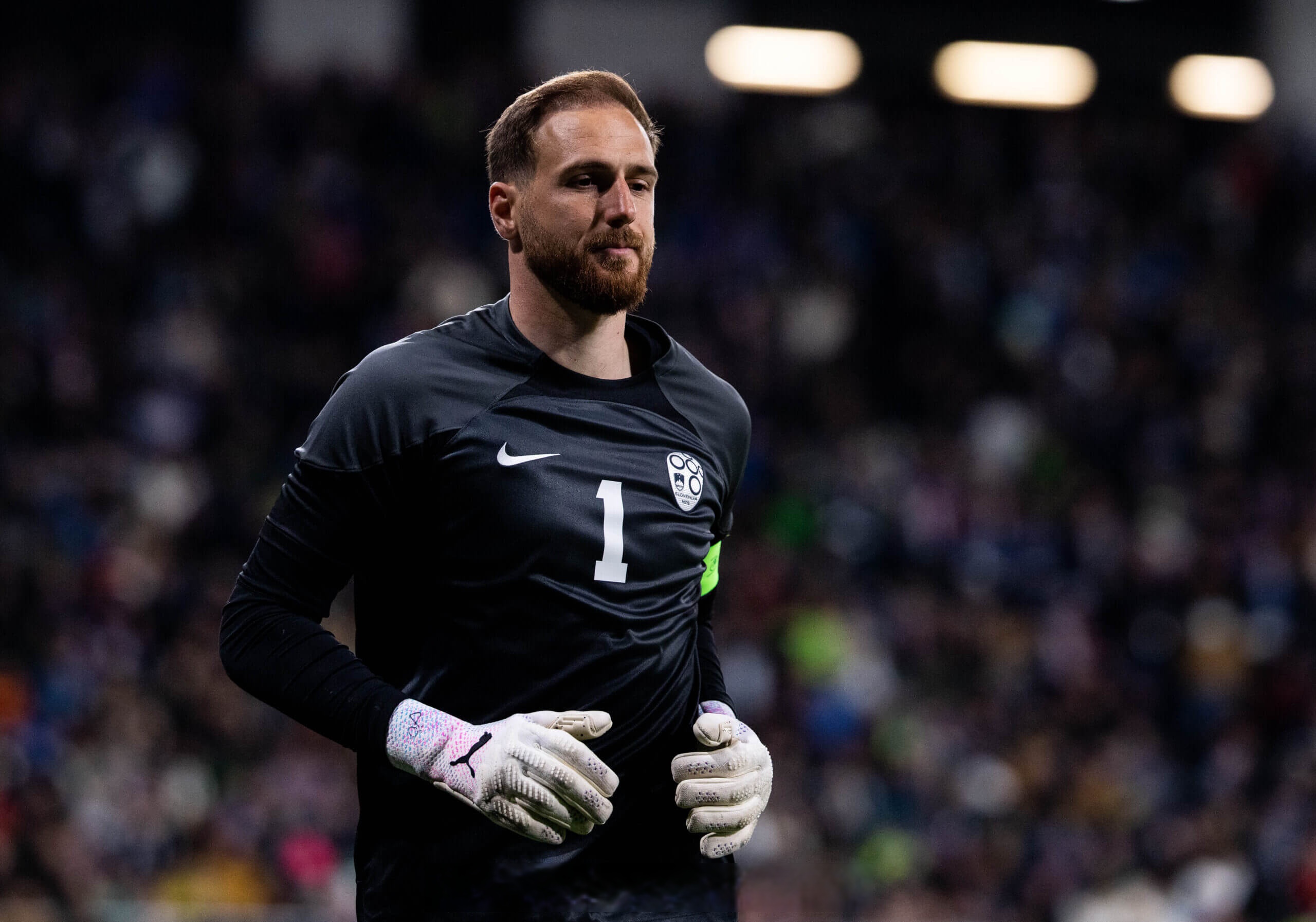 包含乌克兰队欧预赛中卫冕冠军，劲敌觊觎的词条