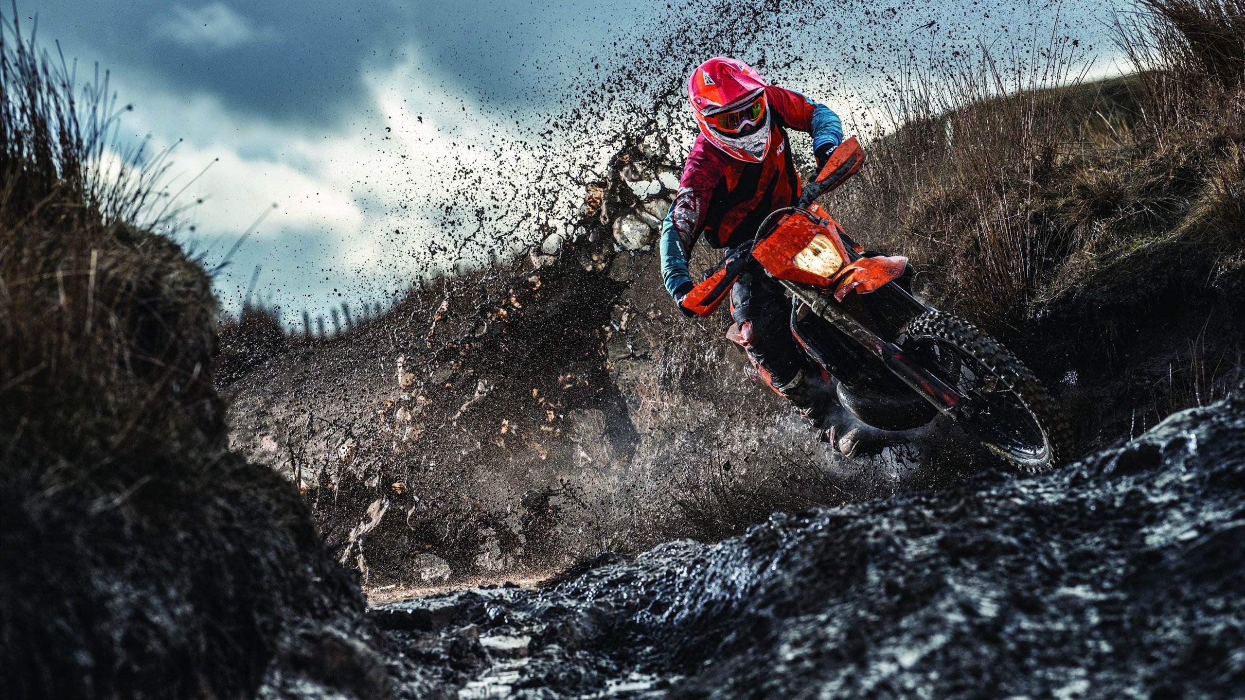 逆转之夜,马琳闪耀,日本队绝境逢生击败泰国